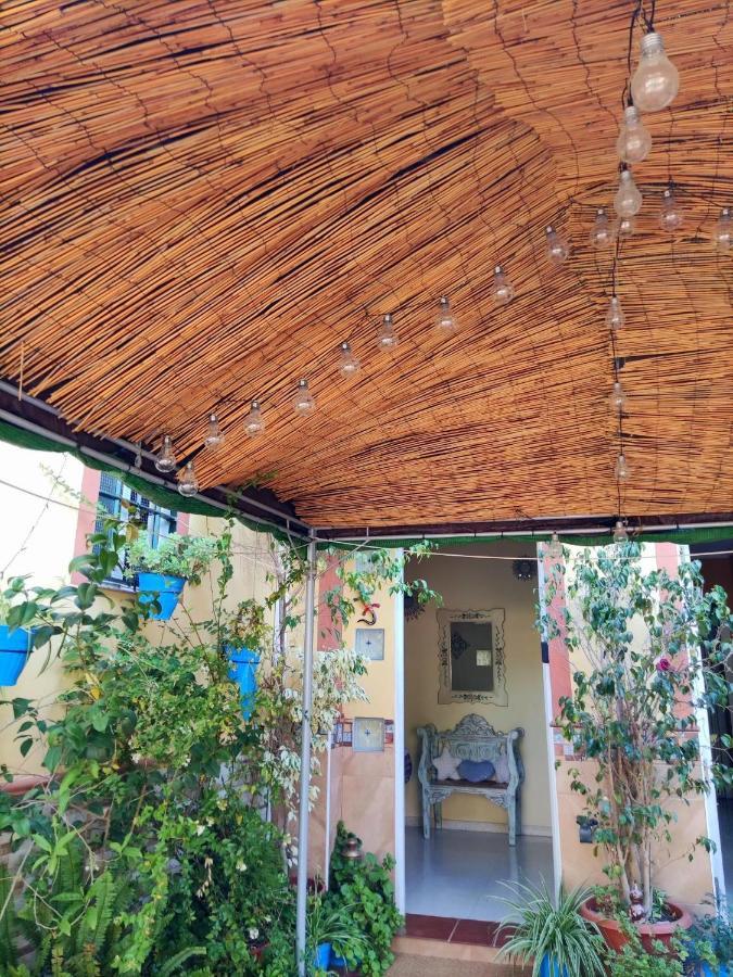 Cool Garden And Suite Μαϊρένα δελ Αλχαράφε Εξωτερικό φωτογραφία