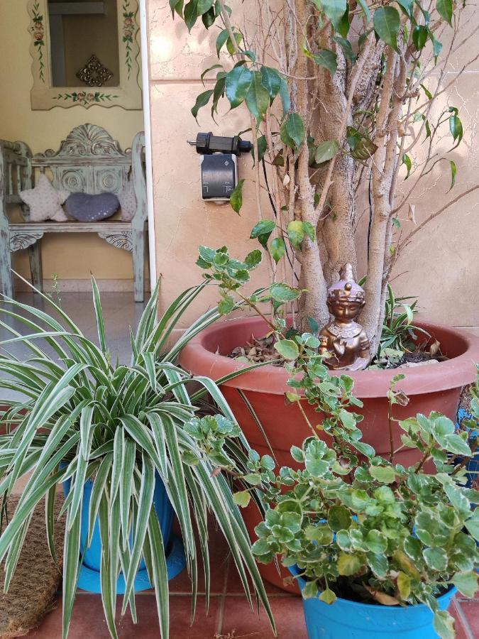 Cool Garden And Suite Μαϊρένα δελ Αλχαράφε Εξωτερικό φωτογραφία