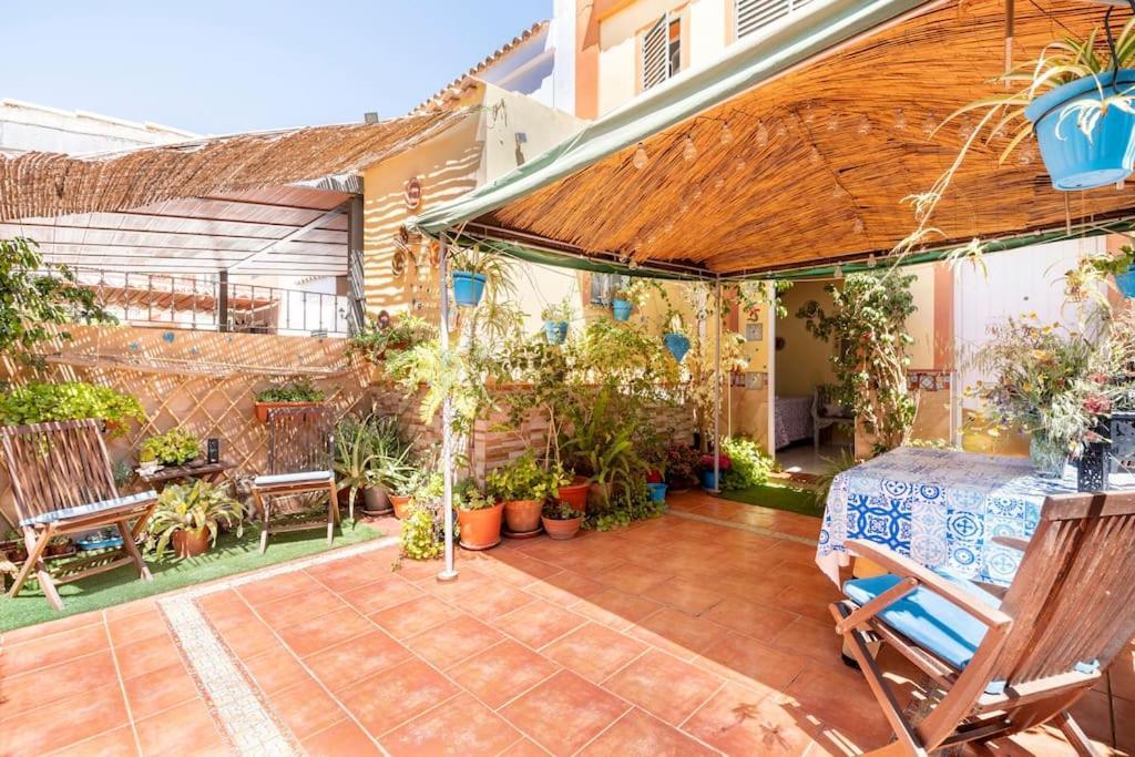 Cool Garden And Suite Μαϊρένα δελ Αλχαράφε Εξωτερικό φωτογραφία