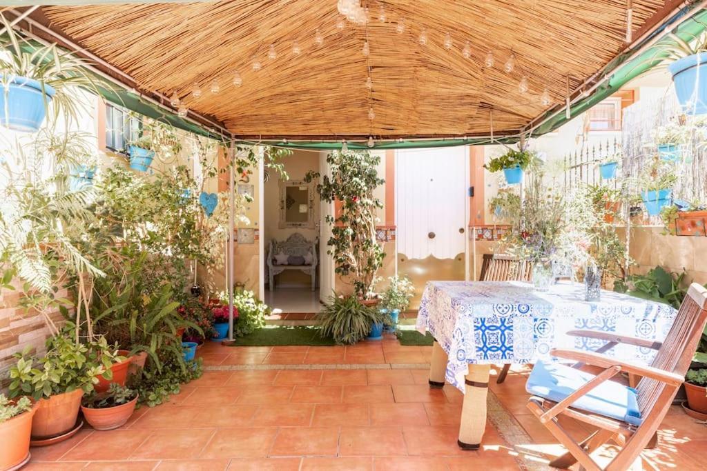 Cool Garden And Suite Μαϊρένα δελ Αλχαράφε Εξωτερικό φωτογραφία