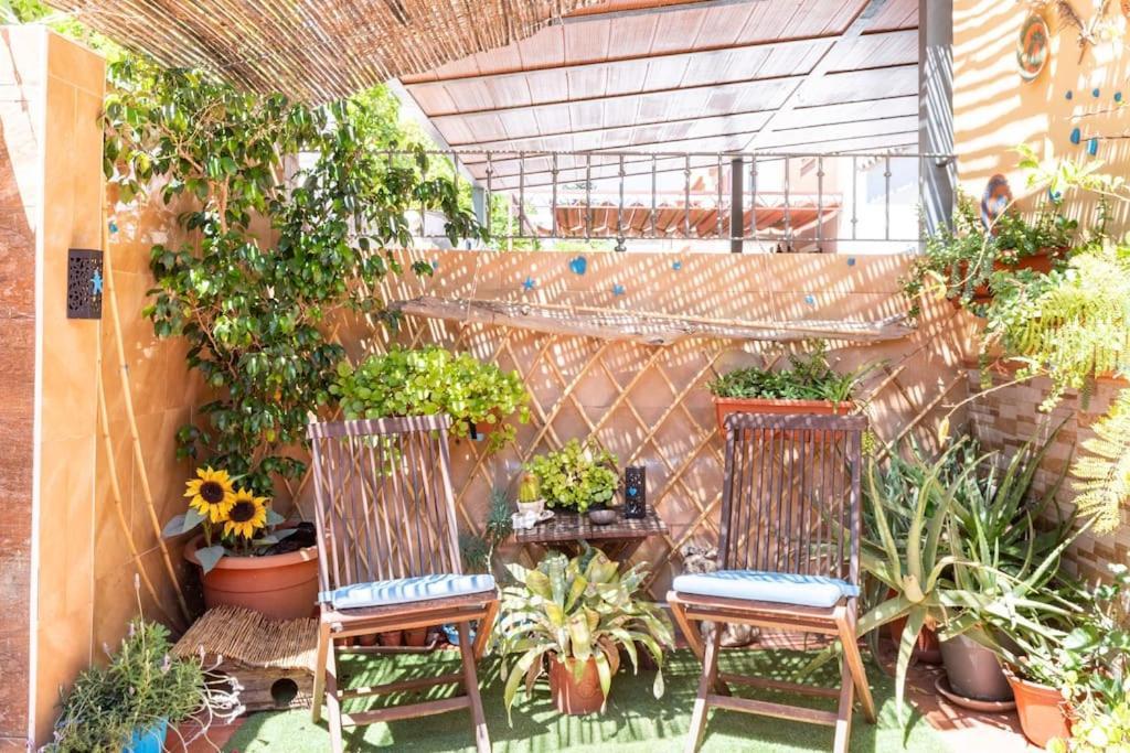 Cool Garden And Suite Μαϊρένα δελ Αλχαράφε Εξωτερικό φωτογραφία