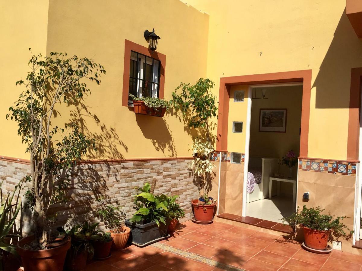 Cool Garden And Suite Μαϊρένα δελ Αλχαράφε Εξωτερικό φωτογραφία